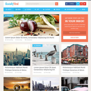 MyThemeShop SociallyViral WordPress Theme - v2.4.6
