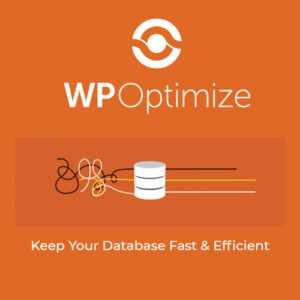 WP-Optimize Premium - v3.1.9