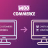 WooCommerce Orders & Customers Exporter - v4.5