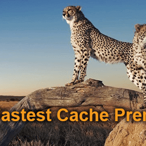 WP Fastest Cache WordPress Plugin – v1.6.0