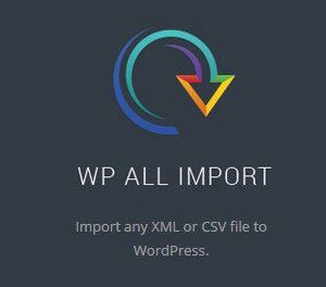 WP All Import Pro Plugin